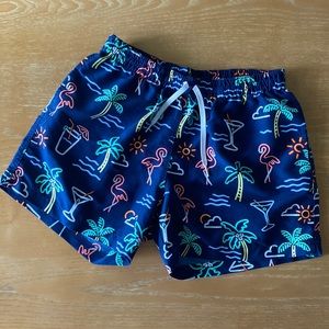 Chubbies - The Neon Lights 5.5" (Classic Swim Trunk)